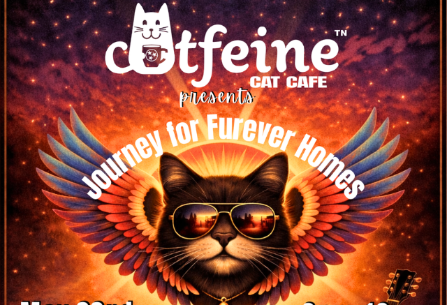 Journey for Furever Homes