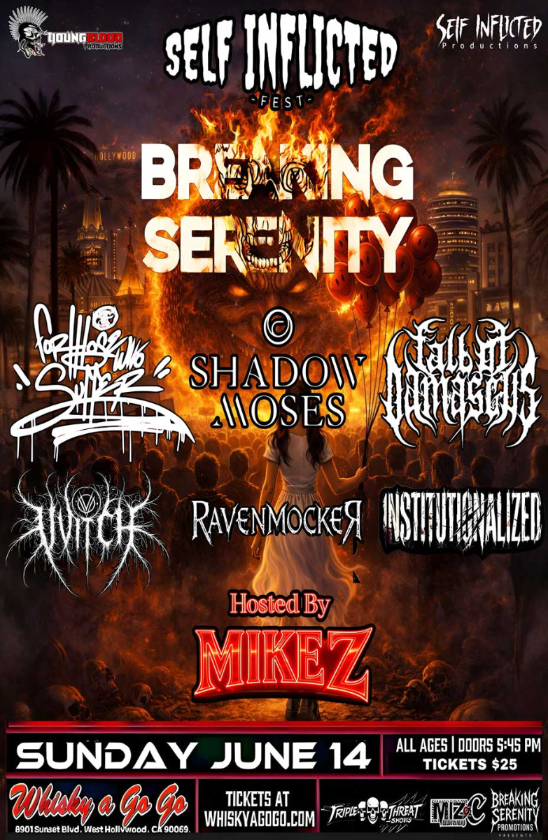 Breaking Serenity , For Those Who Suffer , Shadow Moses, Institutionalized, Fall of Demascus, VVitch, RavenMocker