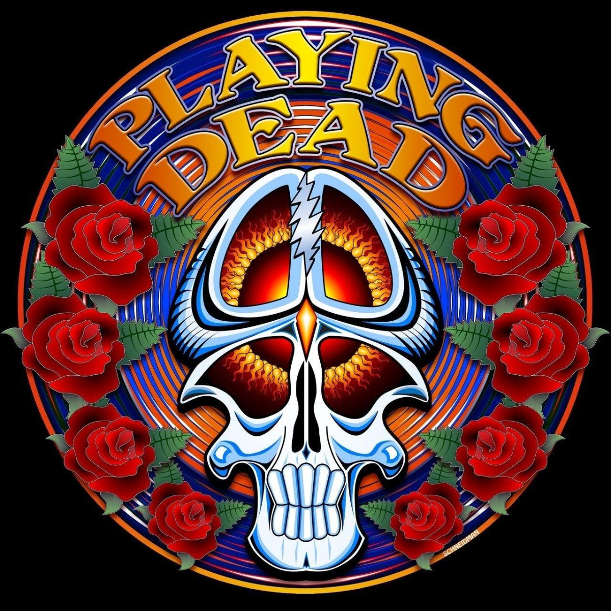 Playing Dead's Annual Ship of Fools Concert Cruise