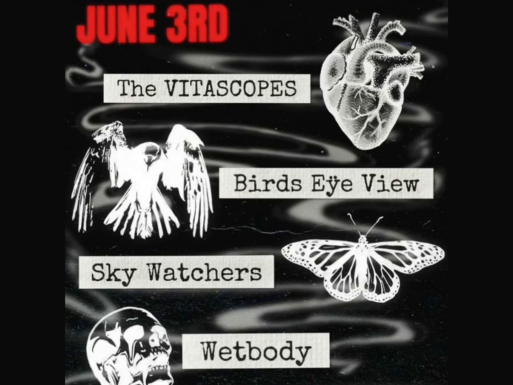 the VITASCOPES, Birds Eÿe View, Wetbody - 03/06/26