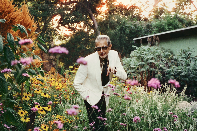 Presales to jeff goldblum &amp; the mildred snitzer orchestra: members use these when buying pre-sale tickets