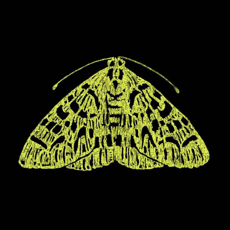 THE MOTH: NINE TO FIVE - 10 - event-img