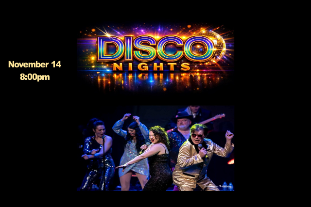 The Disco Nights