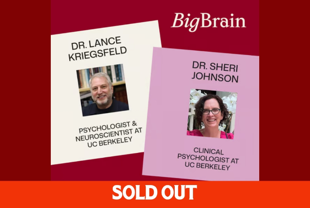 Big Brain Lectures - SF artwork