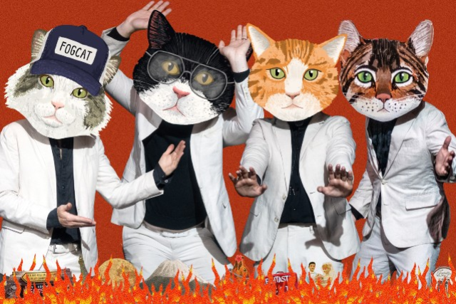 Fantastic Cat