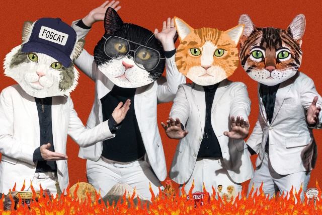 Fantastic Cat
