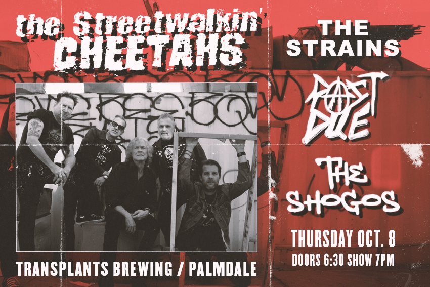 FREE SHOW: THE STREETWALKIN' CHEETAHS / THE STRAINS / PAST DUE / THE SHOGOS