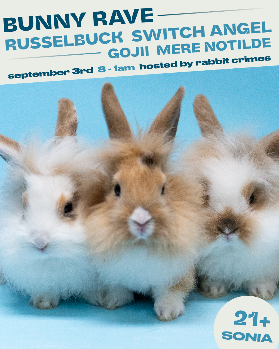 Bunny Rave