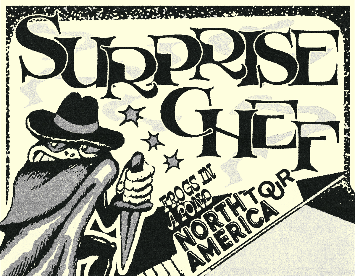 Magic Bag Presents: Surprise Chef