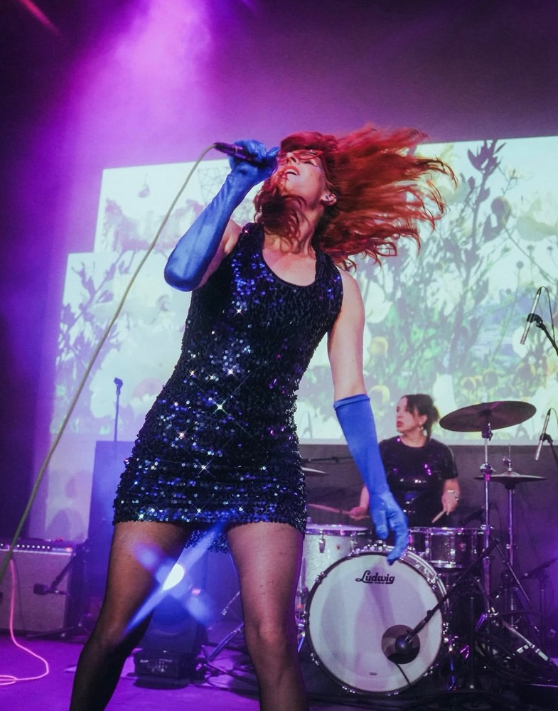 Riot Fest Late Night: Bratmobile / Hammered Hulls