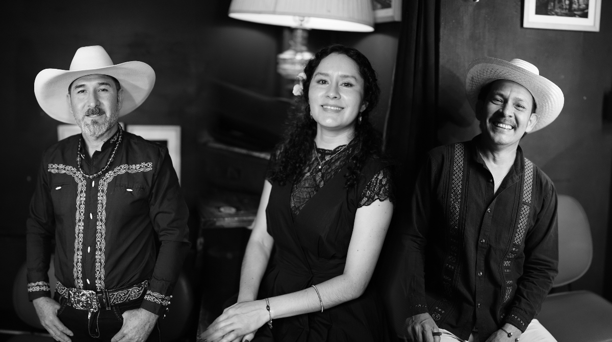 LOS VEGA (SON JAROCHO)