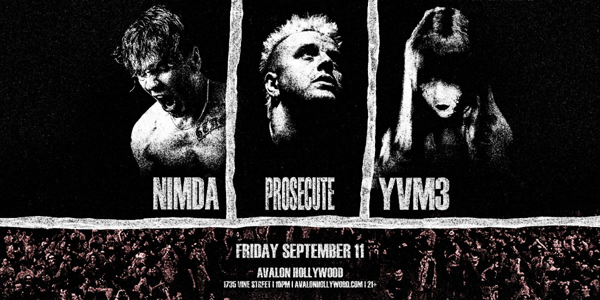 Nimda x Prosecute x yvm3