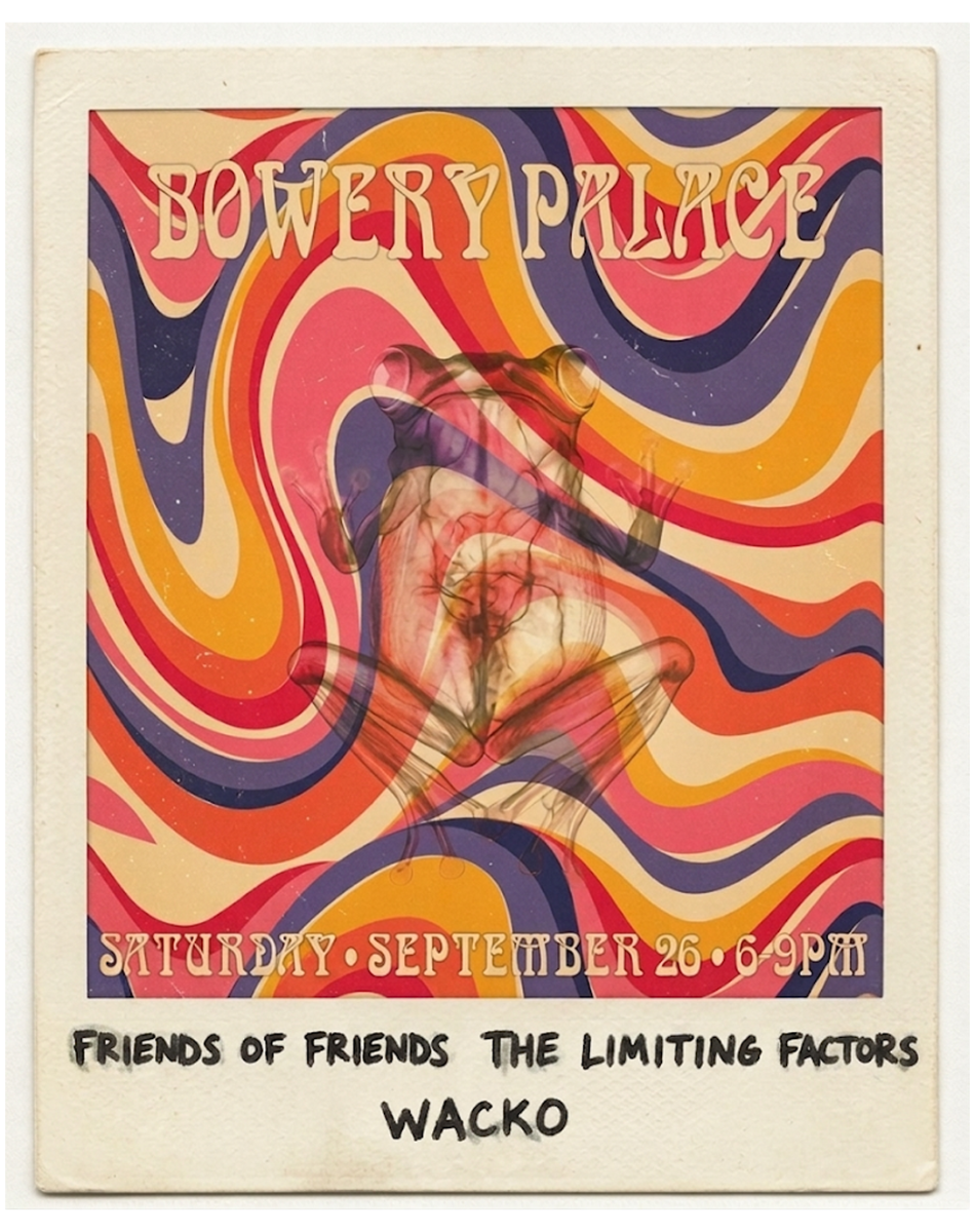 Wacko | The Limiting Factors | Friends of Friends